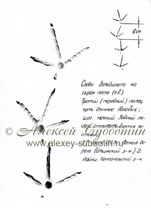 Июль 1993