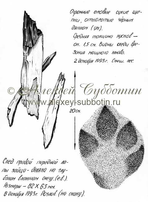 Декабрь 1993