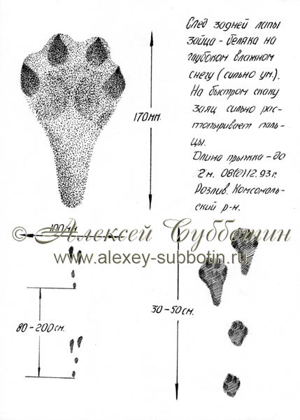 Декабрь 1993
