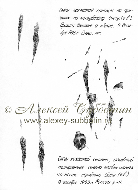Декабрь 1993