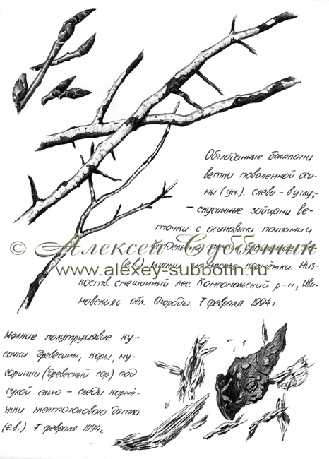 Февраль 1994