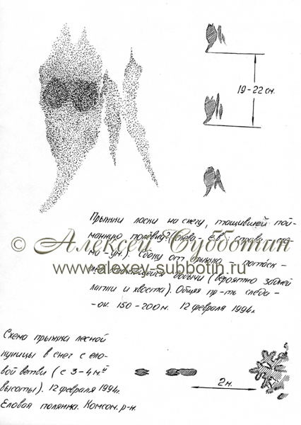 Февраль 1994
