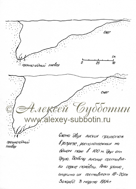 Март 1994