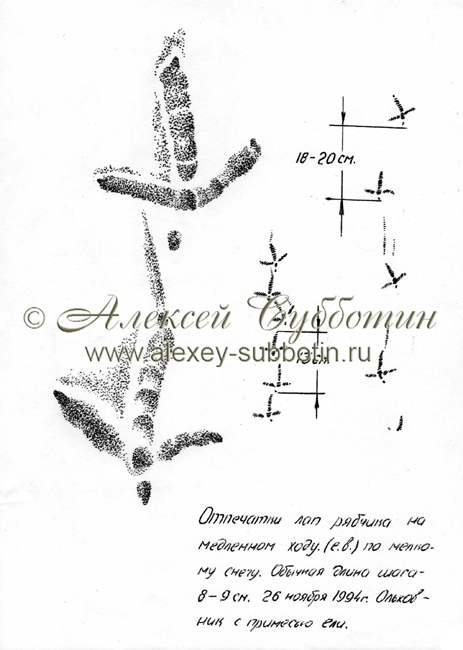 Ноябрь 1994