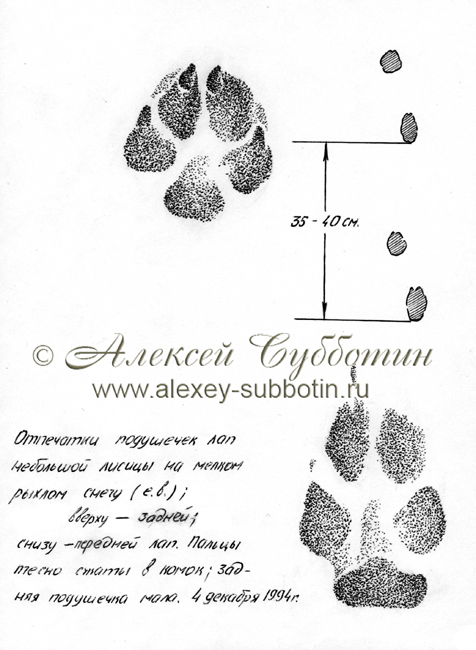 Декабрь 1994