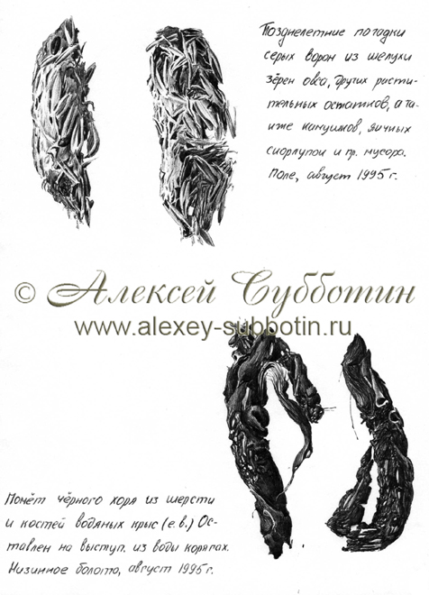 Август 1995