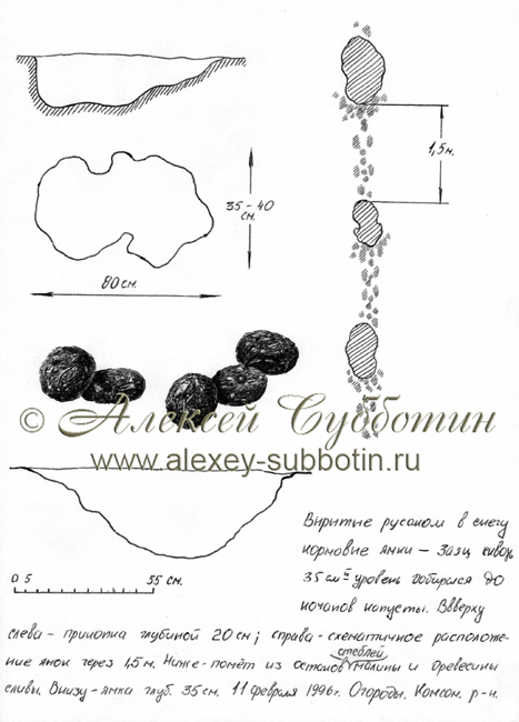 Февраль 1996