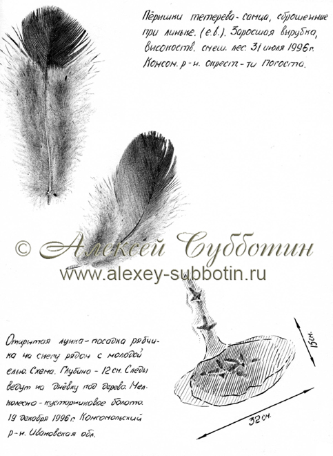 Июль 1996